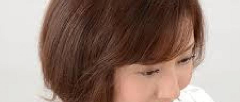 Global Wig Market