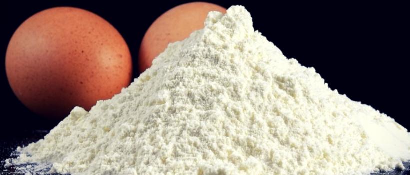 Global Yolk Protein Powder Industry