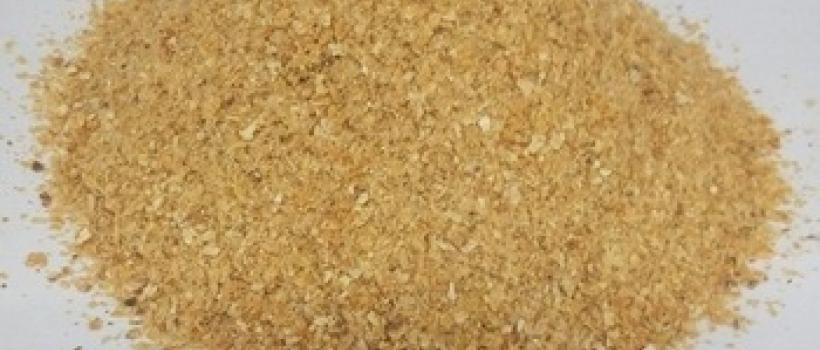 Gluten Feed Market 