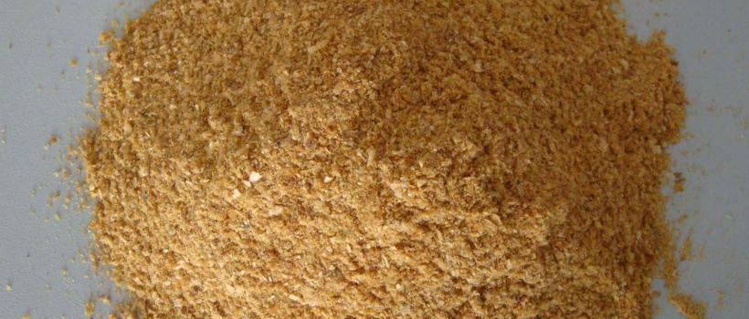 Gluten Feed Market Trends 2025