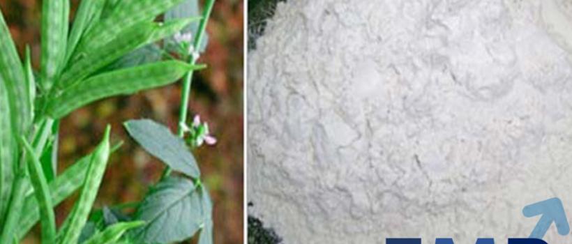 Global Guar Gum Powder Market