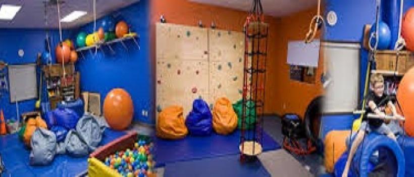 Best Occupational Therapy Clinics in Rohini