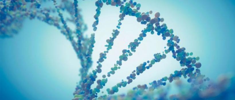 Hospital Acquired Disease Testing Market Size Worth US$ 2,190 Million by 2024