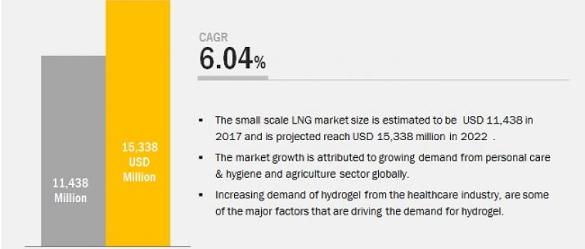 Hydrogel Market