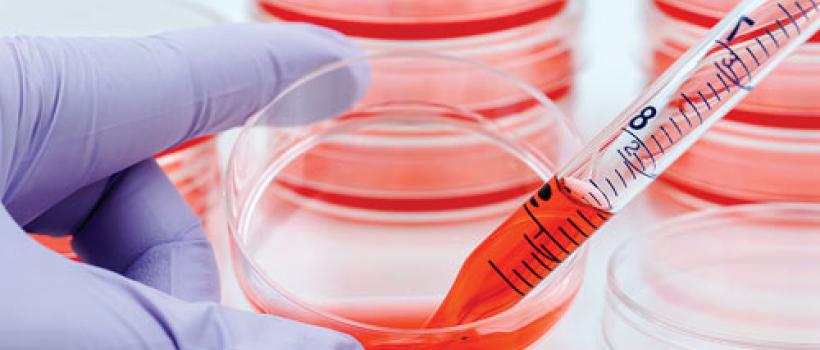 Global Cell Culture Market