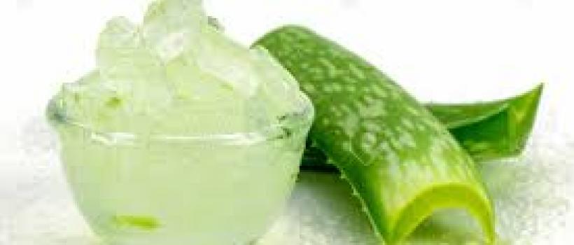 Global Aloe Vera Gel Market Size, Share, Industry, Price, Report & Forecast 2019-2024