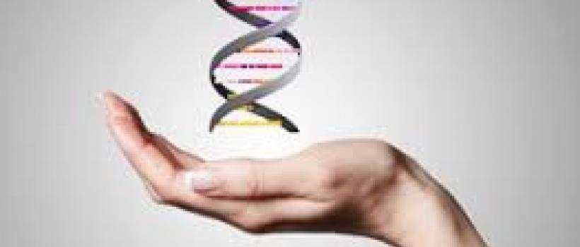 Detective Services In Navi Mumbai
