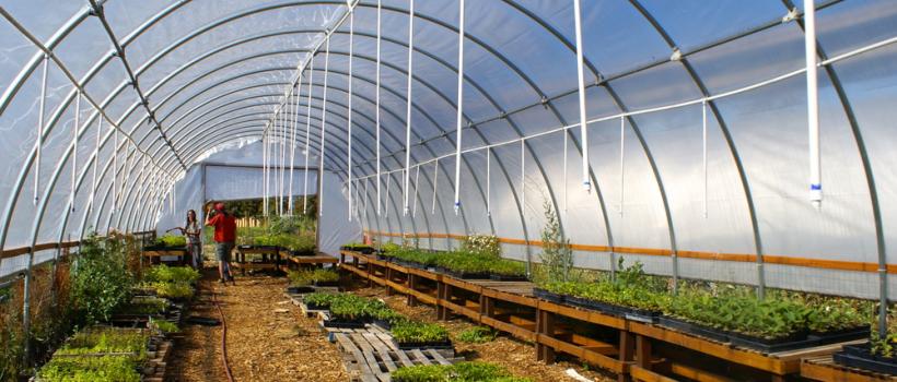 Greenhouse Irrigation Systems Market 