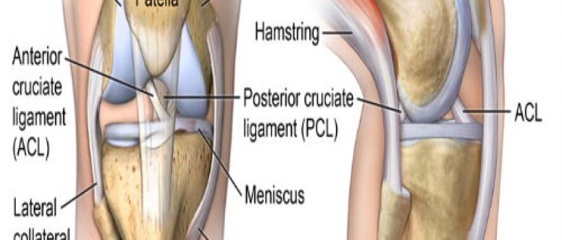 Knee Reconstruction