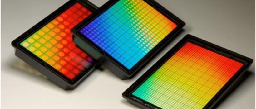Label Free Detection Market