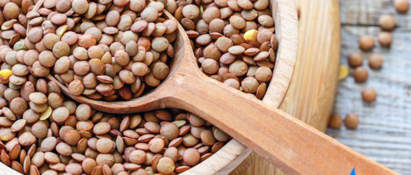 Lentil Market Is Expected To Reach 8.6 Million Tons By 2024