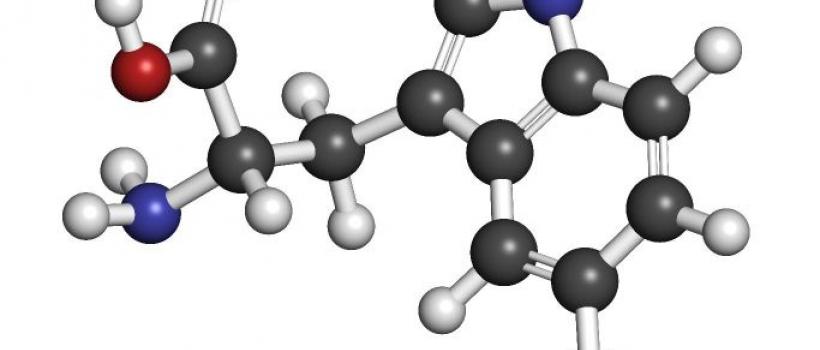 Melatonin, 5-HTP and Serotonin Market