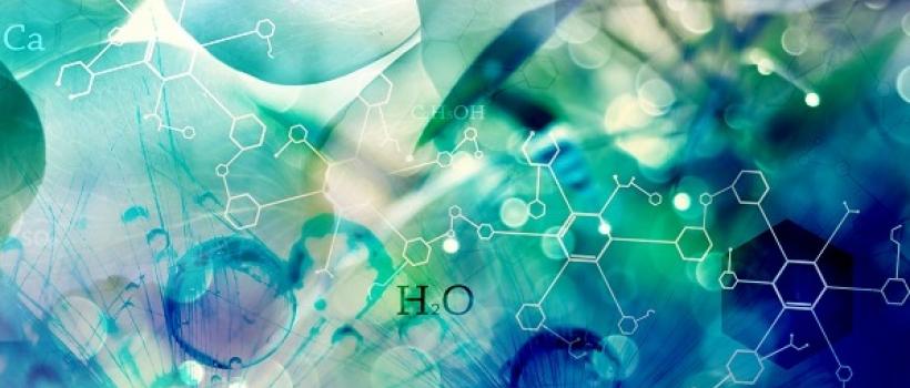 methyl palmitate, methyl palmitate Market, methyl palmitate Market Growth