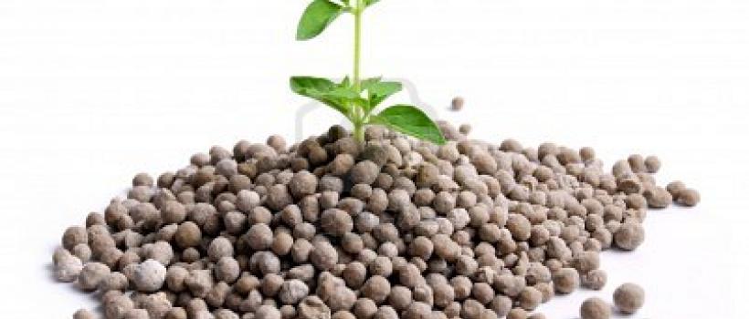  Nitrogenous Fertilizers