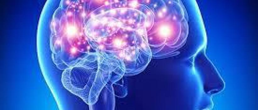 Nootropics Market