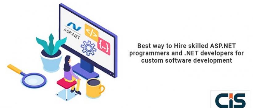 .NET developers for custom software development