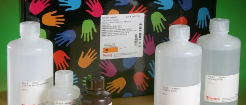 nucleic acid labeling