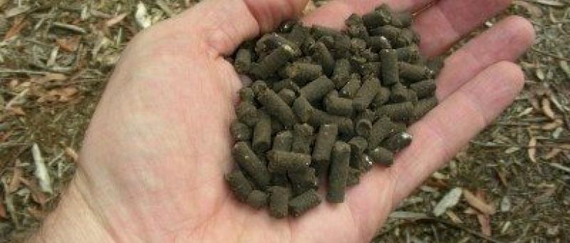 Organic Fertilizers Market