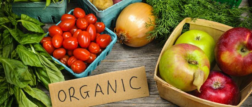 Germany Organic Food Market
