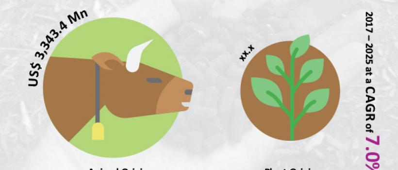  Organic Fertilizer Market