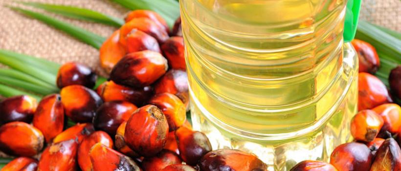 global palm oil market