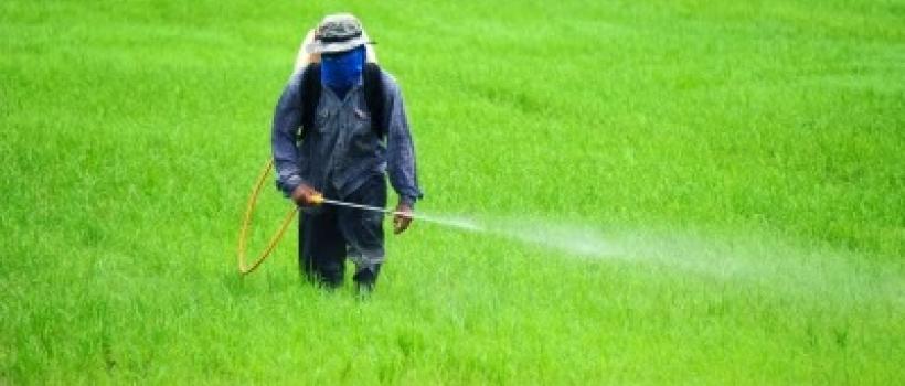 Pesticides Market