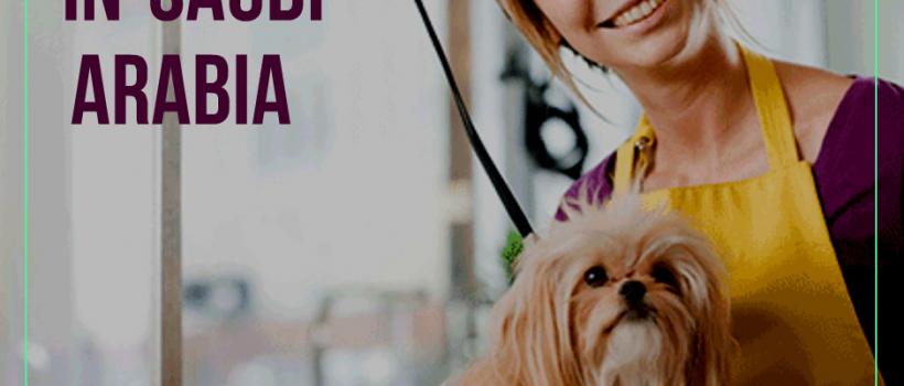 Pet Care