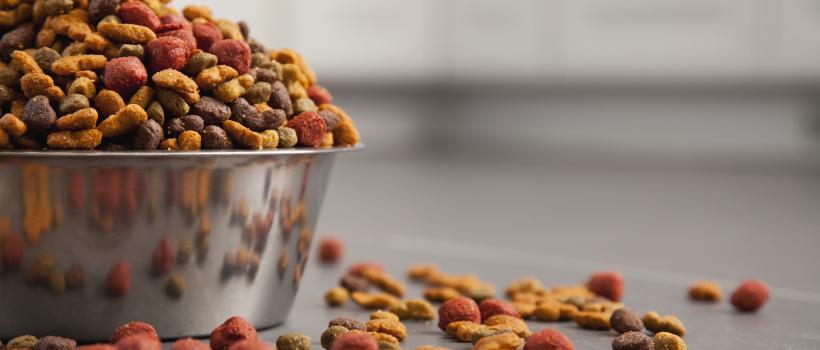 UAE Pet Food Market 