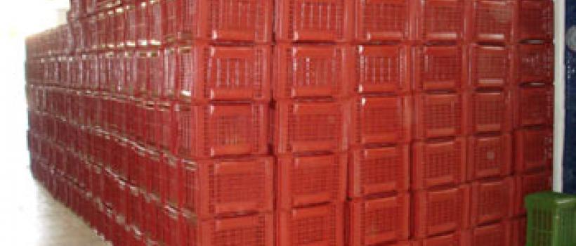 Delta Plast Delta Plast