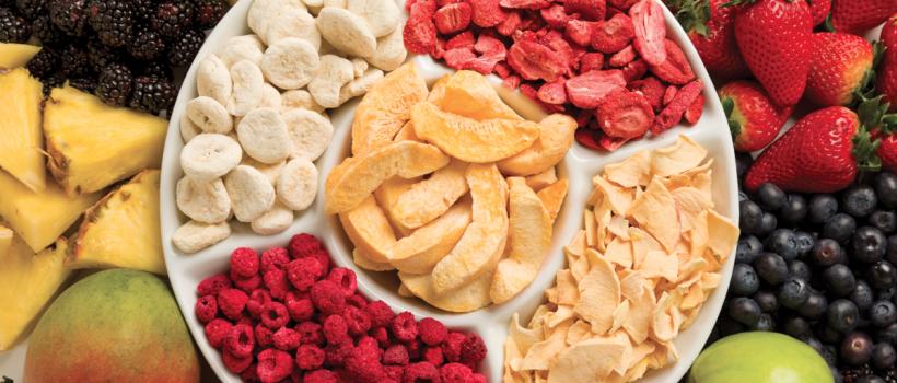 Global Freeze Dried Foods Market