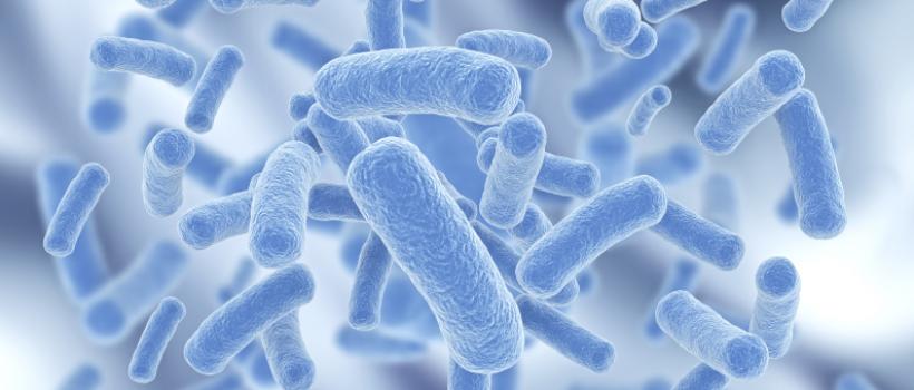 Probiotics