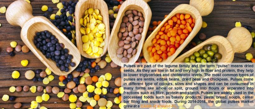 Global Pulses Market Size,price,Trends, Report & Forecast 2019-2024