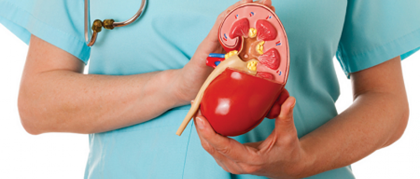 Gloabl Renal Disease Therapeutics Market