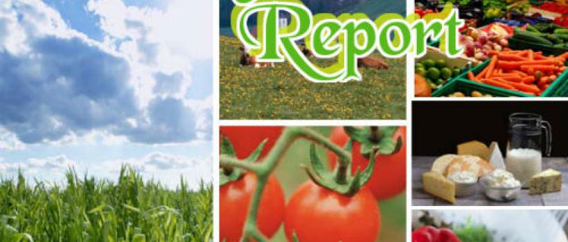 Agribusiness Report