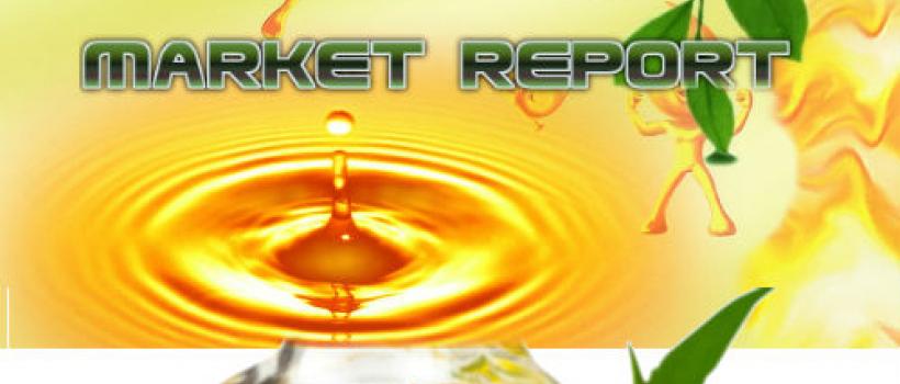 Sesame Oil Market