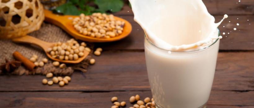 Global Dairy & Soy Food Sector
