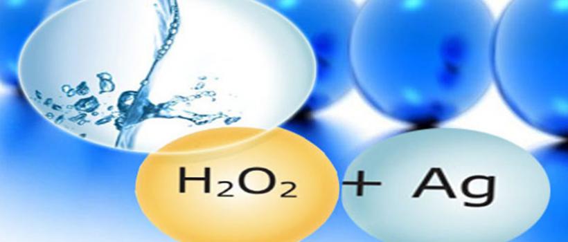 Water Disinfectant Manufacturers 