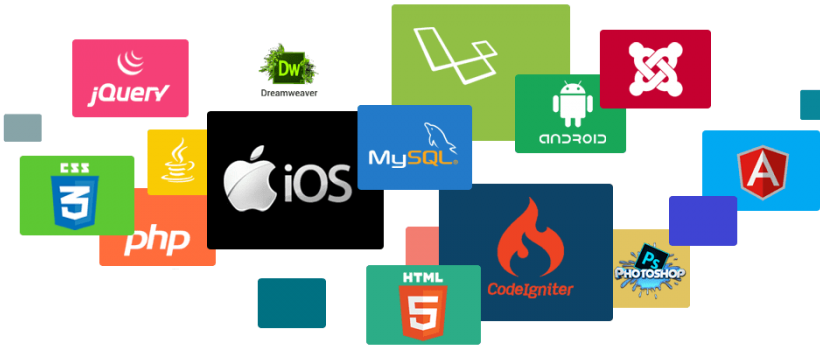 Web Development Company in Kolkata