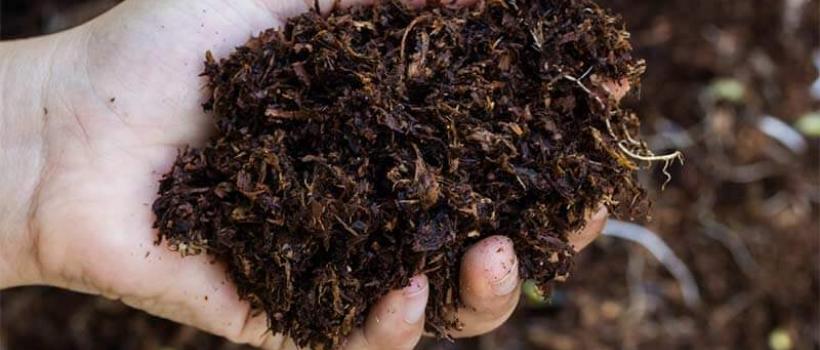 Organic Fertilizers Market 2020-2025