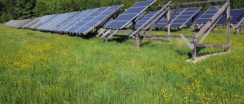 Polymer Solar Cells