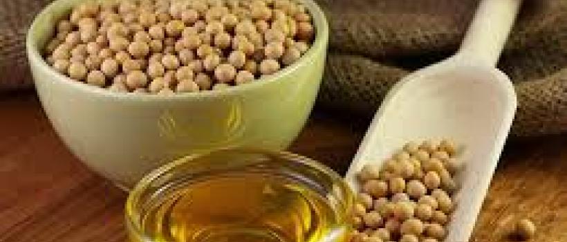 Soybean Oil Market Size, Industry, Outlook, Analysis, Price, Forecast & Report 2019-2024