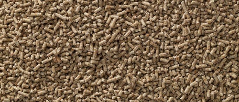 Starter Feed Market 