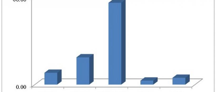 Steel Processing Market