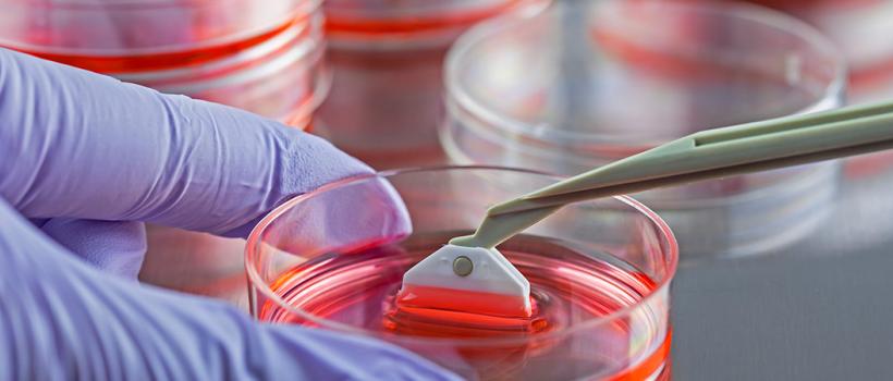 Tissue Engineering Industry