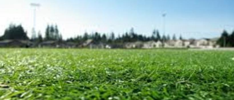 Turf and Ornamental Grass Protection Market