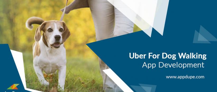 On-demand dog walking app development