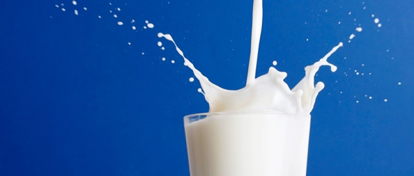 uht millk industry report