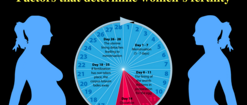 abortion pill, abortion pills online, abortion pill online, buy Abortion pill online, abortion pill cost