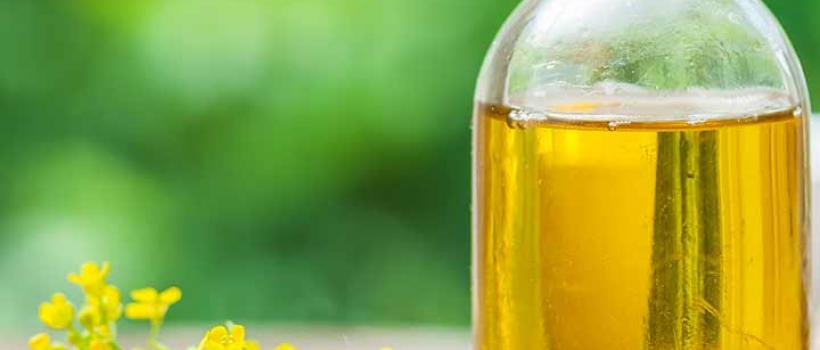 vegetable oil market