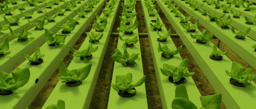 Europe Vertical Farming Market